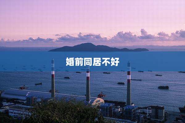 婚前同居不好