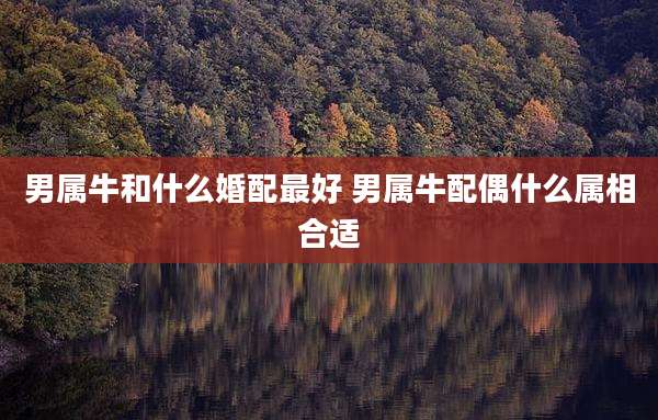 男属牛和什么婚配最好 男属牛配偶什么属相合适