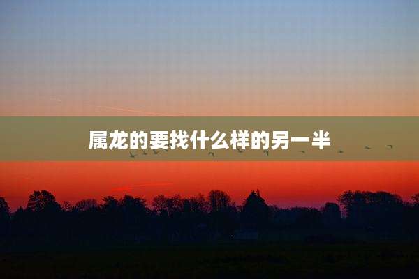 属龙的要找什么样的另一半