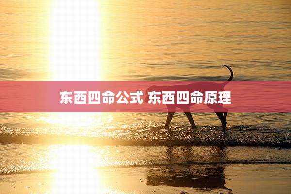 东西四命公式 东西四命原理