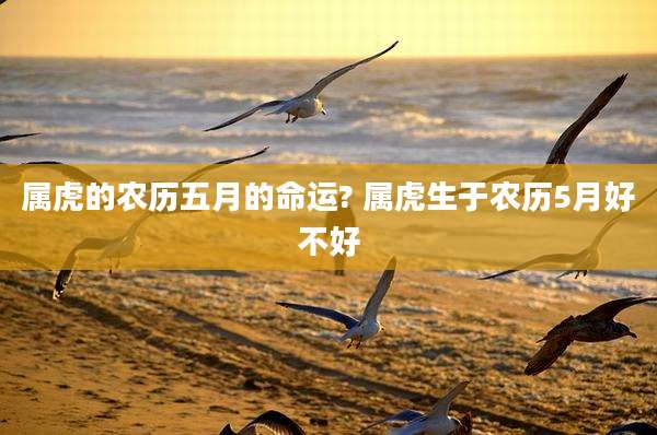 属虎的农历五月的命运? 属虎生于农历5月好不好