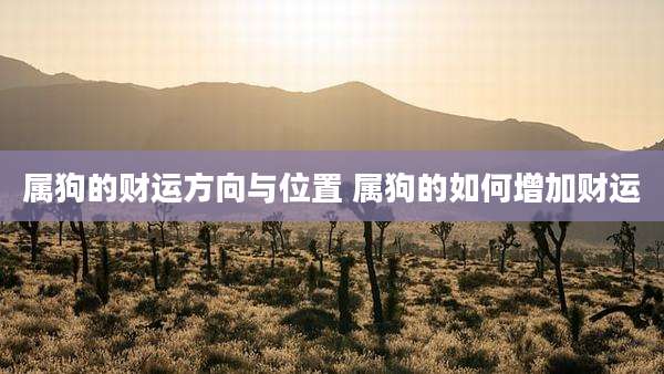 属狗的财运方向与位置 属狗的如何增加财运