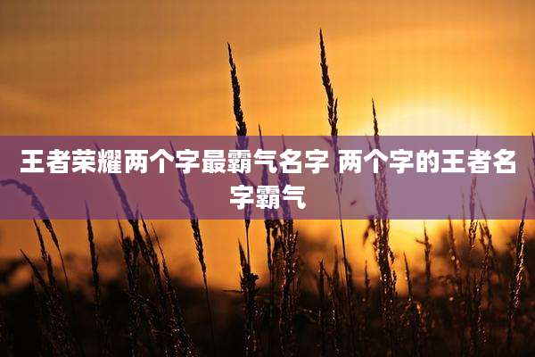 王者荣耀两个字最霸气名字 两个字的王者名字霸气
