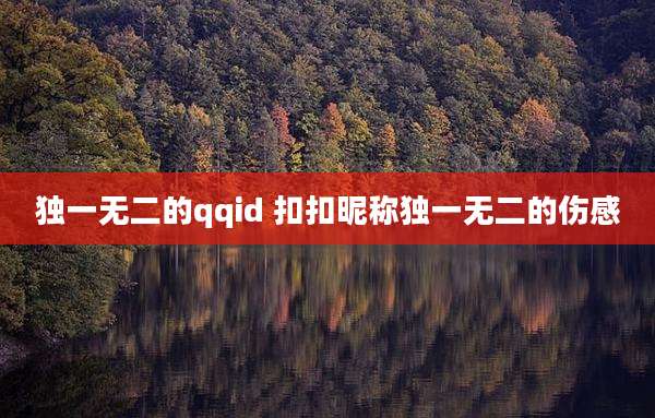 独一无二的qqid 扣扣昵称独一无二的伤感