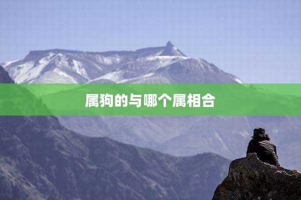 属狗的与哪个属相合
