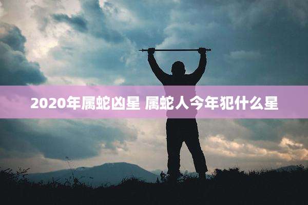 2020年属蛇凶星 属蛇人今年犯什么星