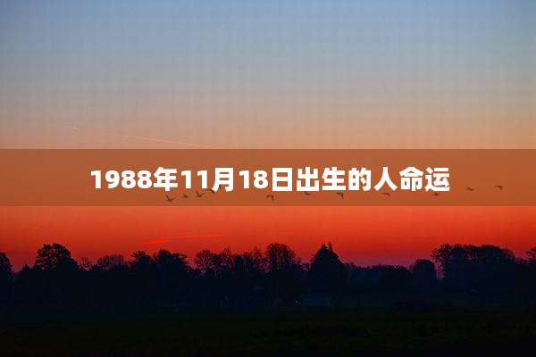 1988年11月18日出生的人命运