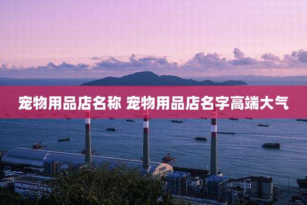 宠物用品店名称 宠物用品店名字高端大气
