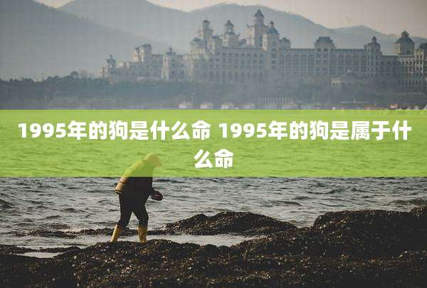 1995年的狗是什么命 1995年的狗是属于什么命