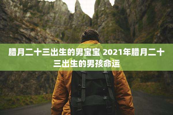 腊月二十三出生的男宝宝 2021年腊月二十三出生的男孩命运