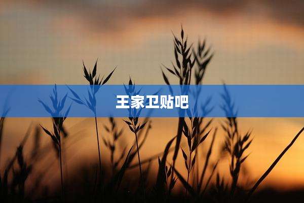 王家卫贴吧