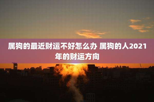 属狗的最近财运不好怎么办 属狗的人2021年的财运方向