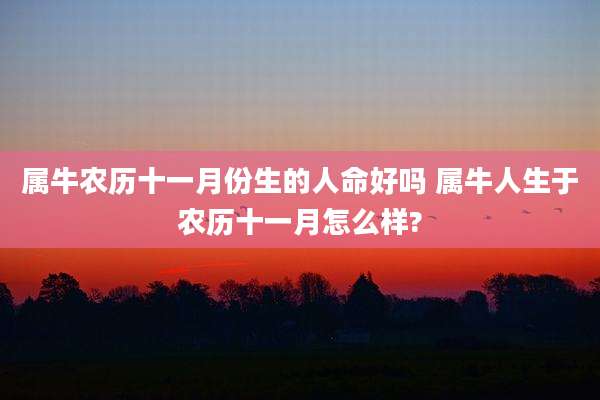 属牛农历十一月份生的人命好吗 属牛人生于农历十一月怎么样?