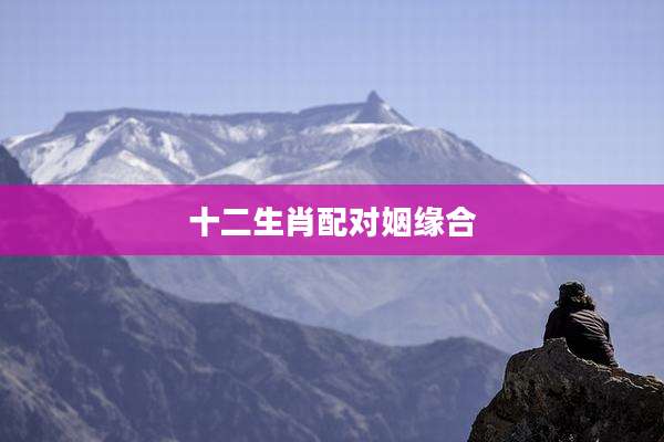 十二生肖配对姻缘合