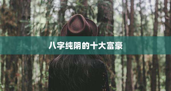 八字纯阴的十大富豪
