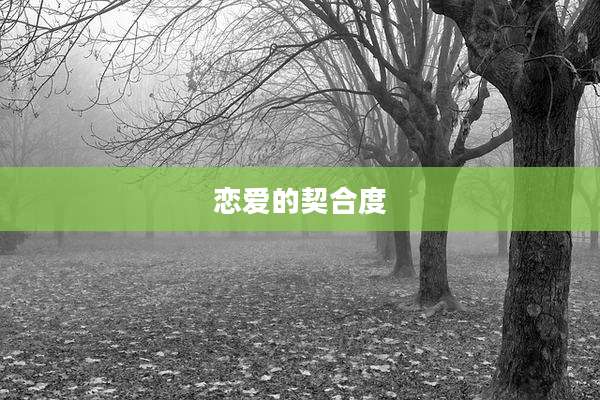 恋爱的契合度