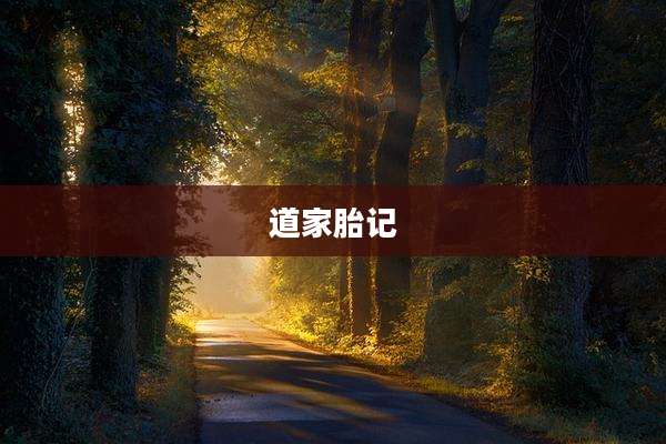 道家胎记