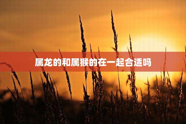 属龙的和属猴的在一起合适吗