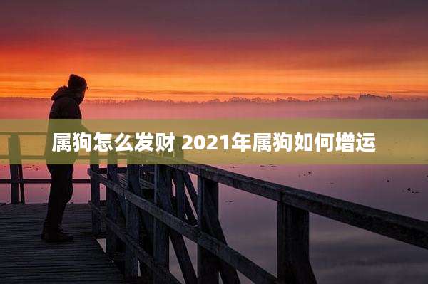 属狗怎么发财 2021年属狗如何增运