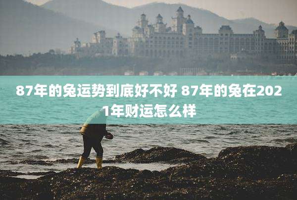 87年的兔运势到底好不好 87年的兔在2021年财运怎么样