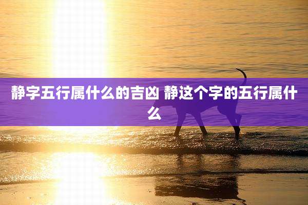 静字五行属什么的吉凶 静这个字的五行属什么