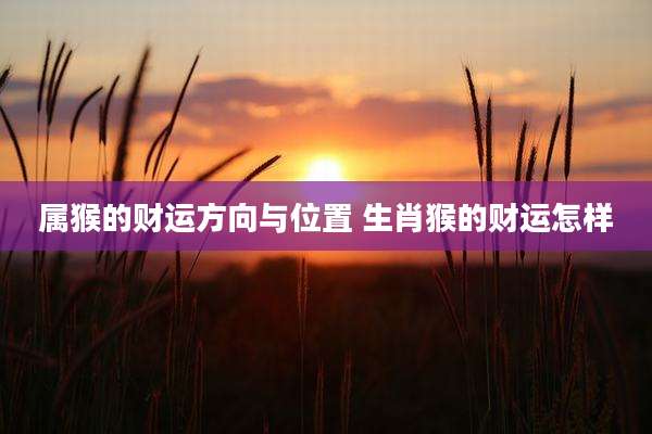 属猴的财运方向与位置 生肖猴的财运怎样