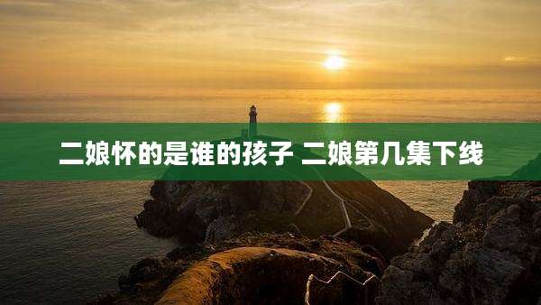 二娘怀的是谁的孩子 二娘第几集下线