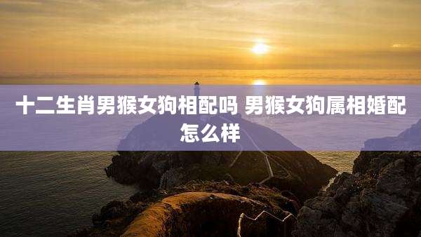 十二生肖男猴女狗相配吗 男猴女狗属相婚配怎么样