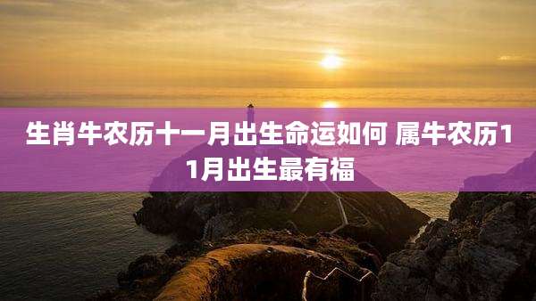 生肖牛农历十一月出生命运如何 属牛农历11月出生最有福