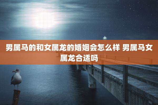 男属马的和女属龙的婚姻会怎么样 男属马女属龙合适吗