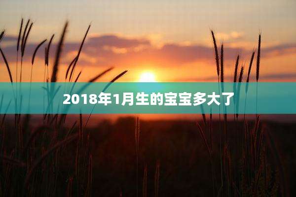 2018年1月生的宝宝多大了