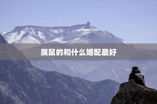 属鼠的和什么婚配最好