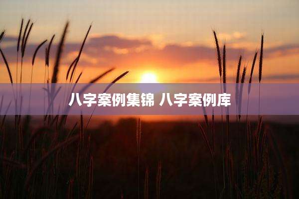八字案例集锦 八字案例库