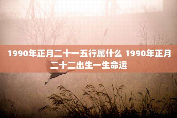 1990年正月二十一五行属什么 1990年正月二十二出生一生命运