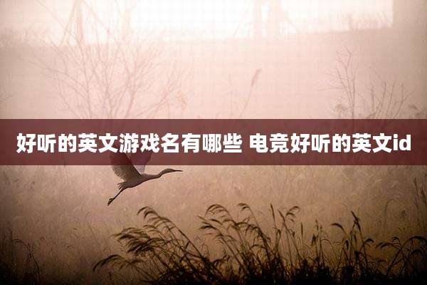 好听的英文游戏名有哪些 电竞好听的英文id