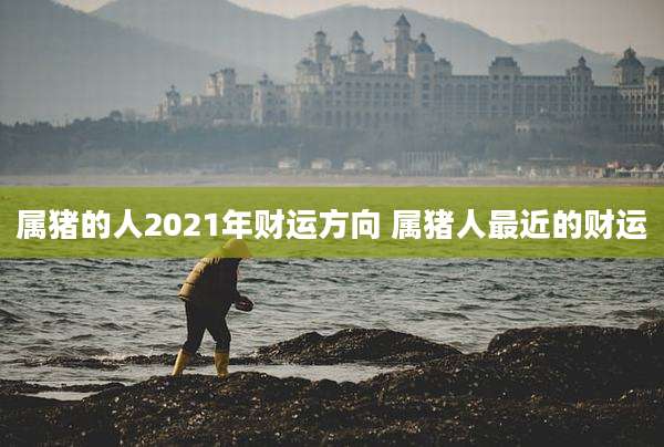 属猪的人2021年财运方向 属猪人最近的财运
