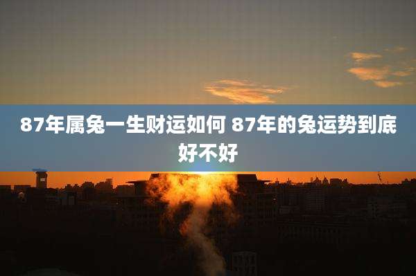 87年属兔一生财运如何 87年的兔运势到底好不好
