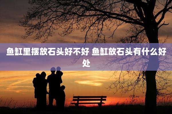 鱼缸里摆放石头好不好 鱼缸放石头有什么好处