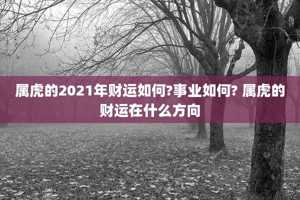 属虎的2021年财运如何?事业如何? 属虎的财运在什么方向