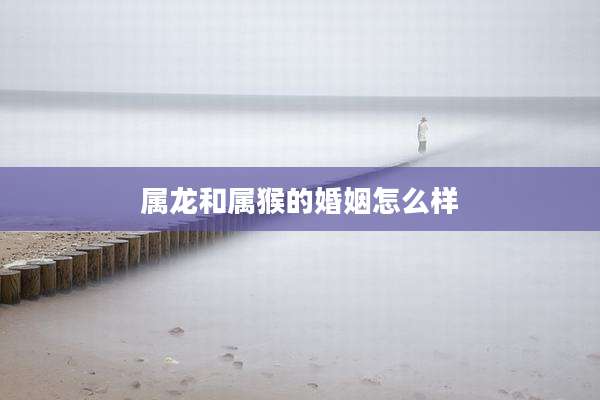 属龙和属猴的婚姻怎么样