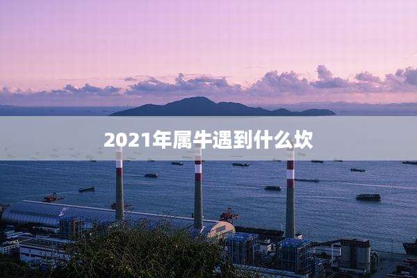 2021年属牛遇到什么坎