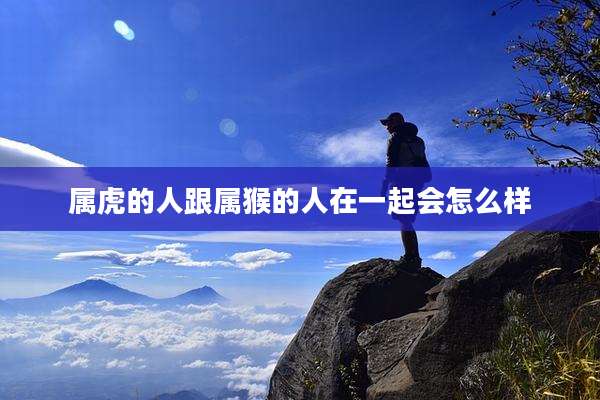 属虎的人跟属猴的人在一起会怎么样
