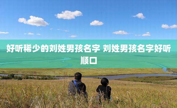 好听稀少的刘姓男孩名字 刘姓男孩名字好听顺口