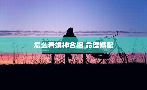 怎么看婚神合相 命理婚配
