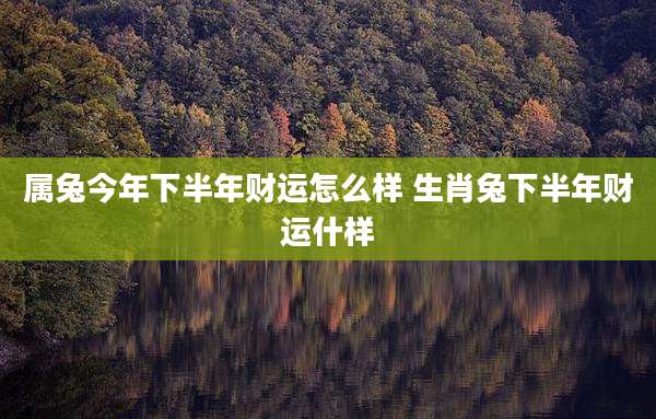 属兔今年下半年财运怎么样 生肖兔下半年财运什样