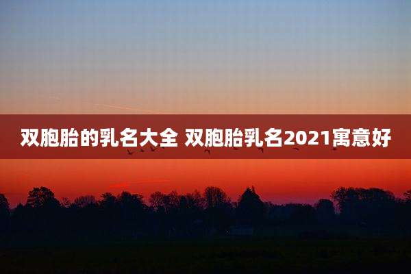 双胞胎的乳名大全 双胞胎乳名2021寓意好