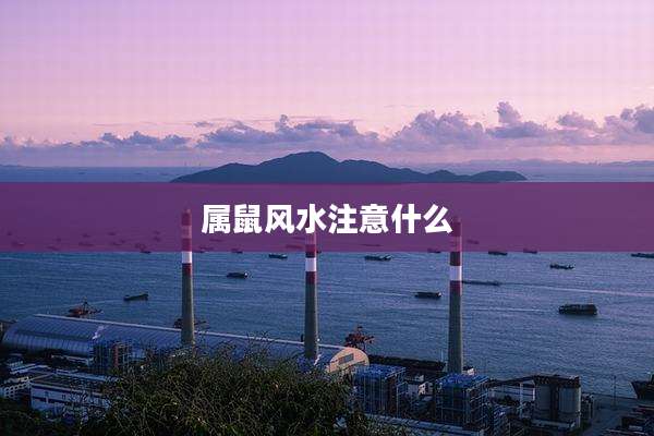 属鼠风水注意什么