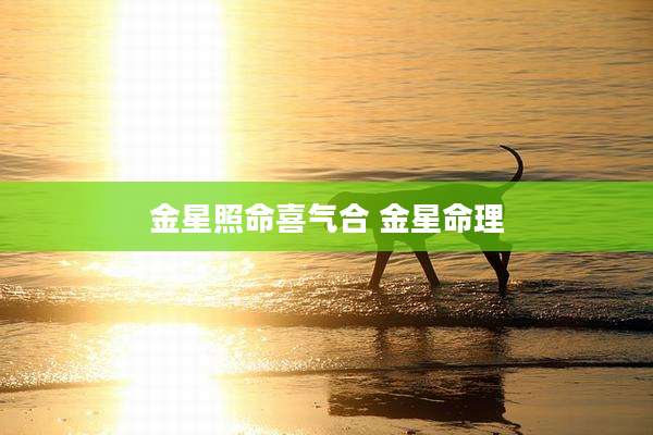 金星照命喜气合 金星命理