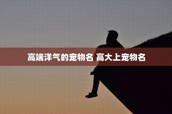 高端洋气的宠物名 高大上宠物名