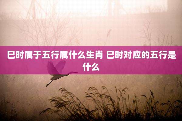 巳时属于五行属什么生肖 巳时对应的五行是什么